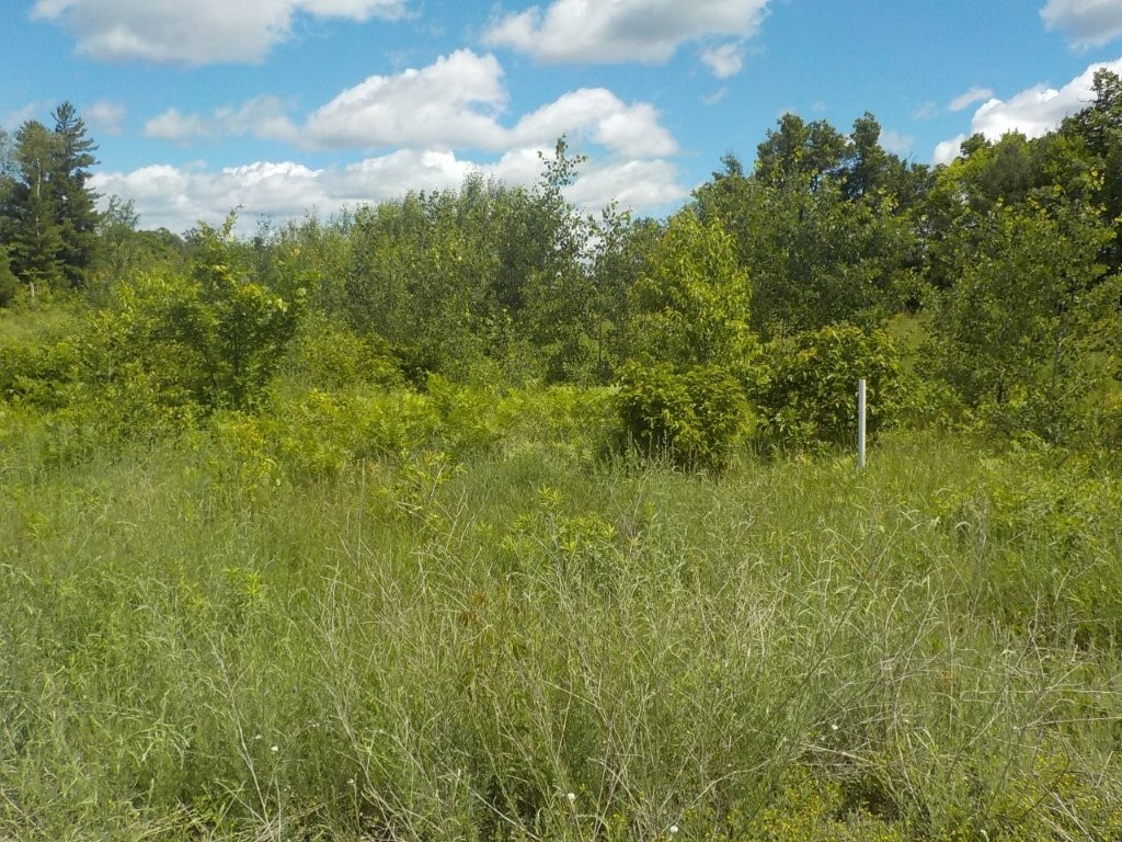 24361 Highway 35/70 Property Photo 6