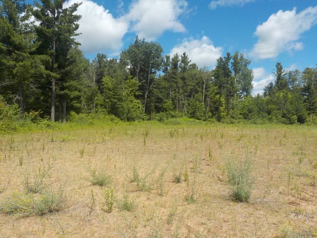 24361 Highway 35/70 Property Photo 8