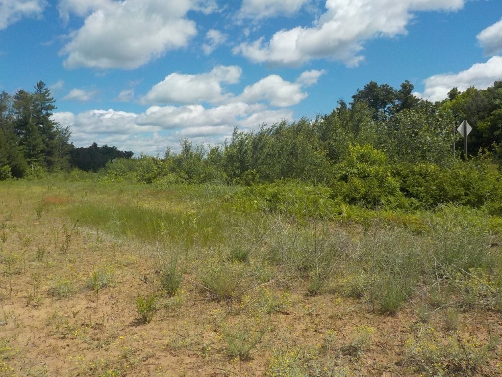 24361 Highway 35/70 Property Photo 9