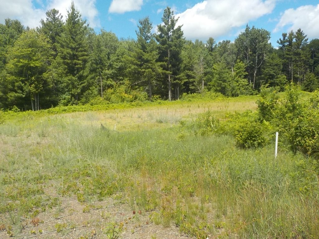 24361 Highway 35/70 Property Photo 10