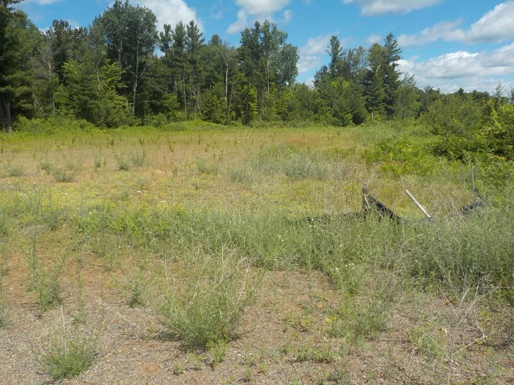 24361 Highway 35/70 Property Photo 11