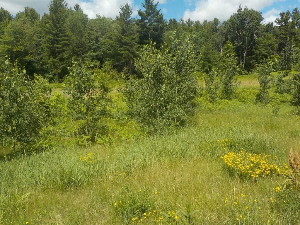 24361 Highway 35/70 Property Photo 12