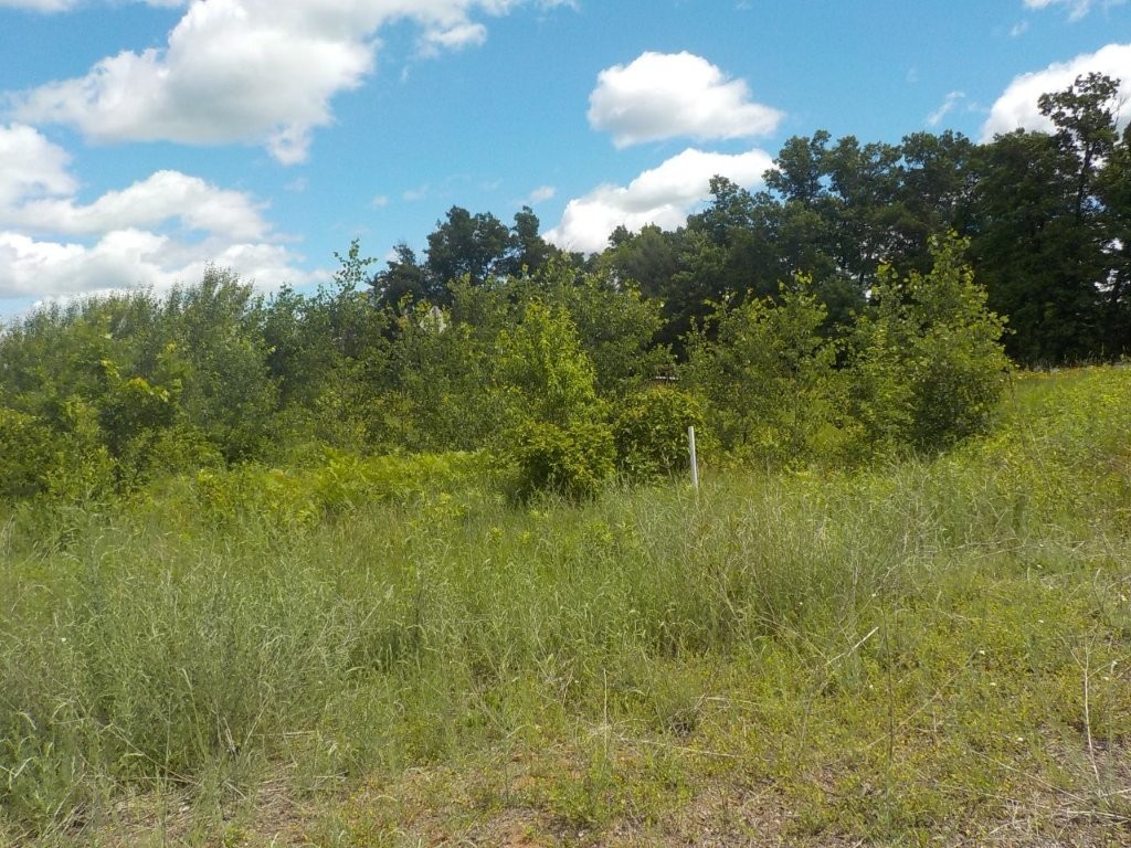 24361 Highway 35/70 Property Photo 15