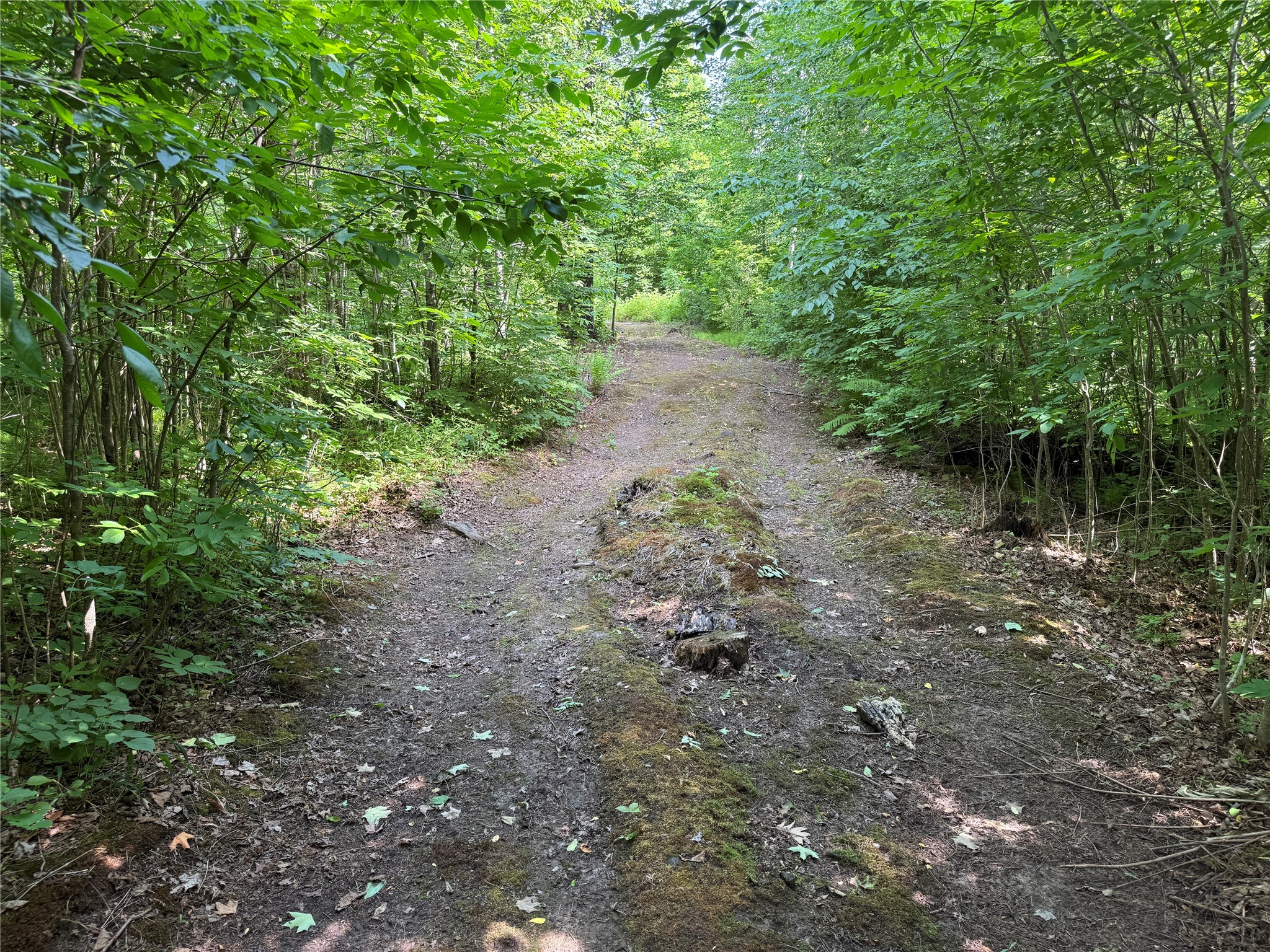 Xxx W Eckel Lane Property Photo 33