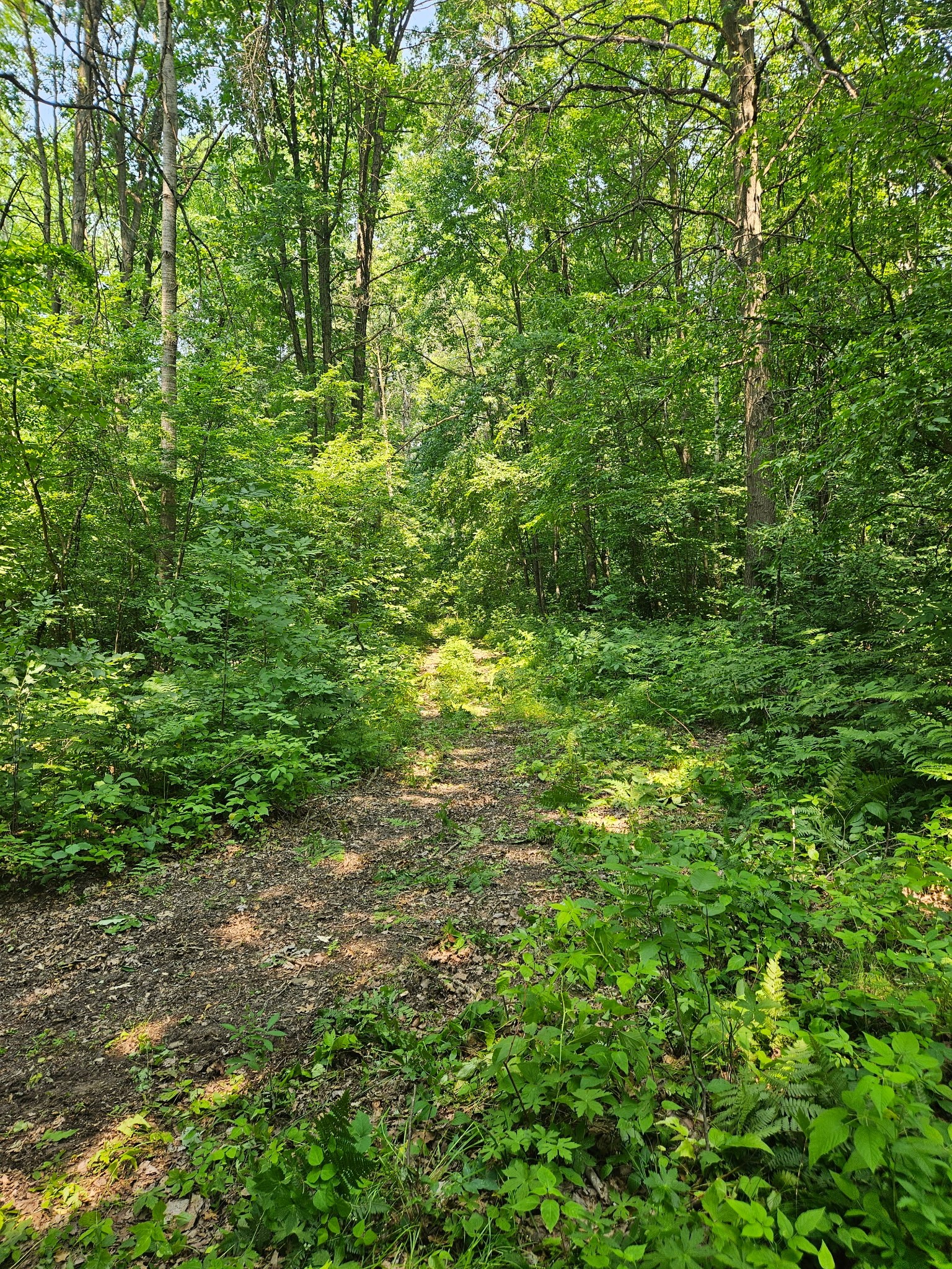 49 Acres 16th Avenue Property Photo 1