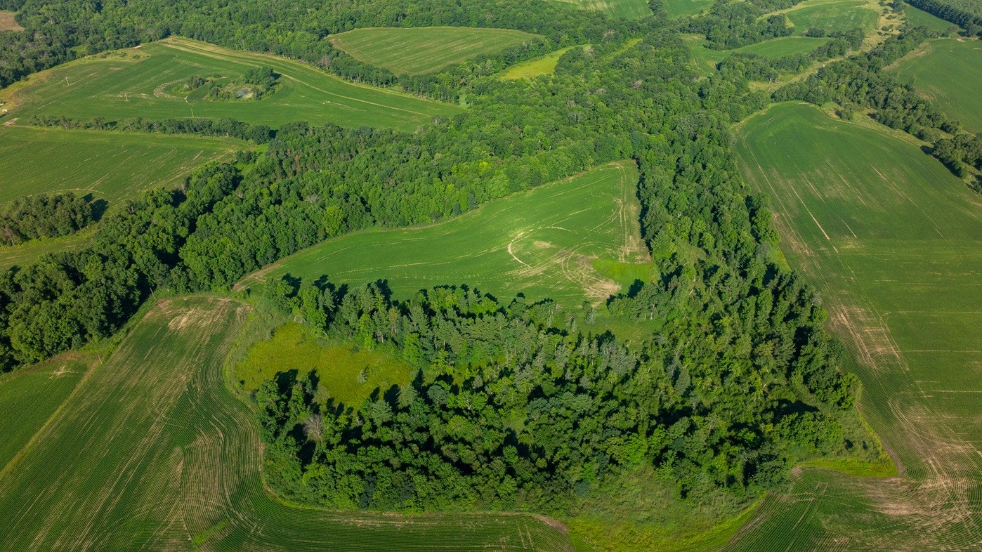 0 Little Sweden Road Property Photo 29