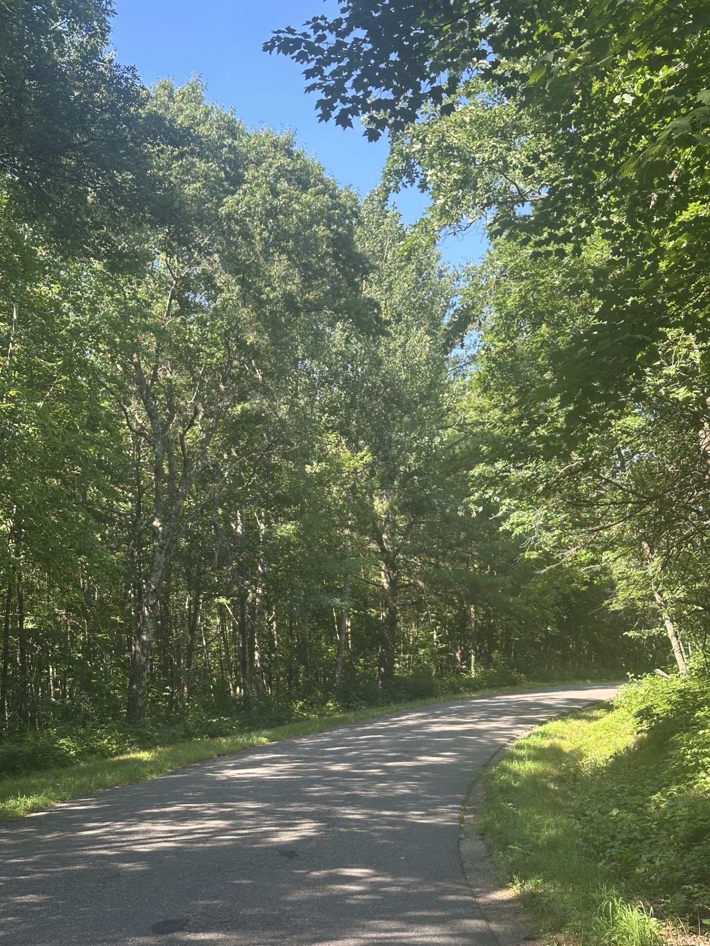Lot 3 271st Street Property Photo 7