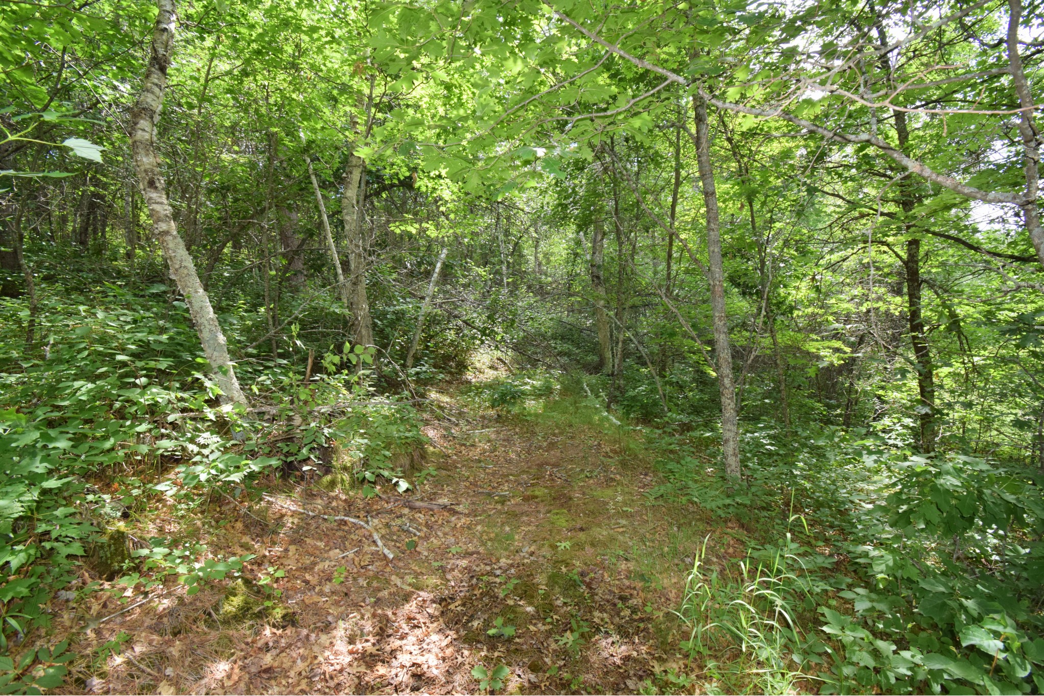 2749 E Webb Lake Road Property Photo 48