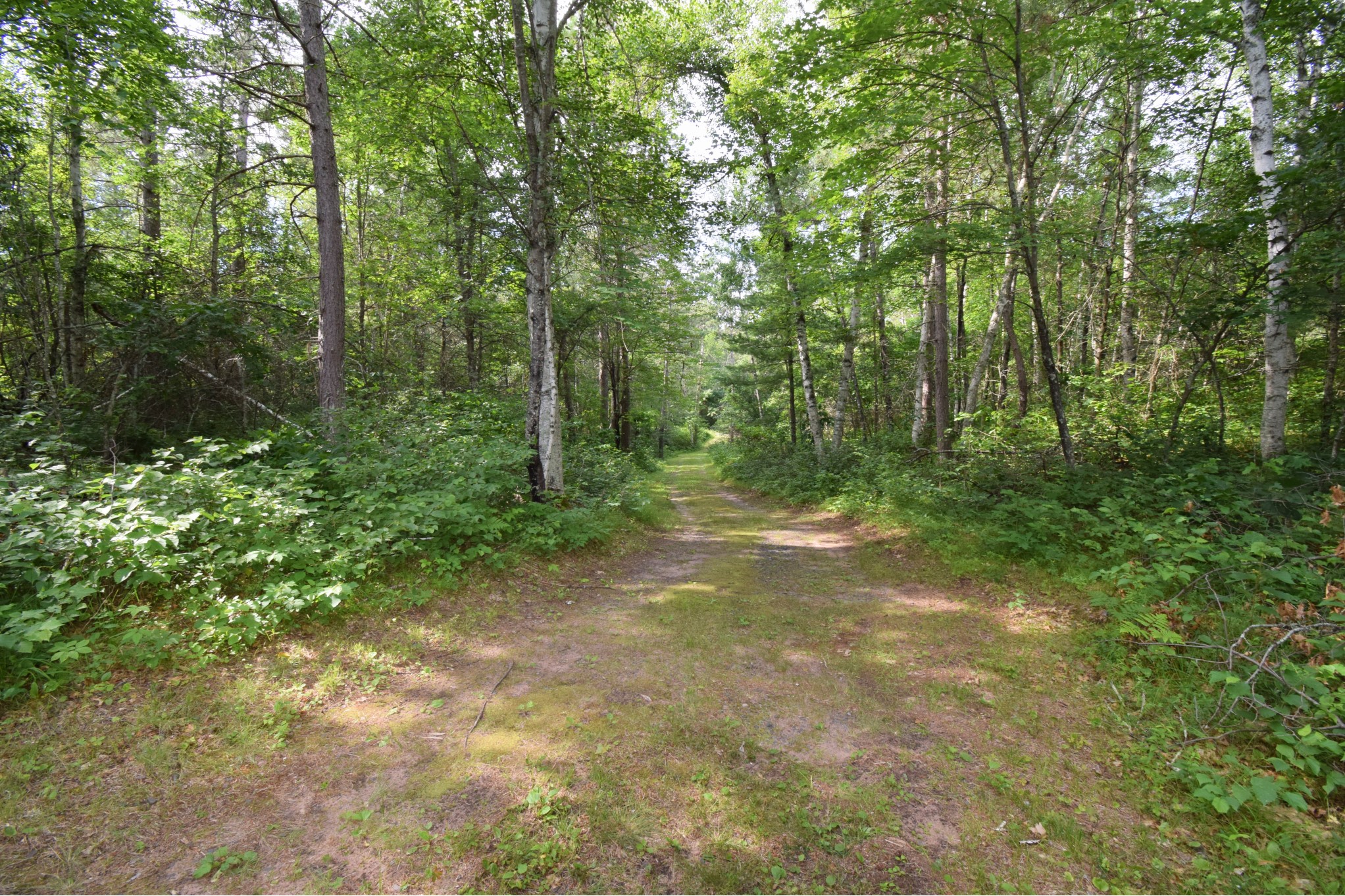 2749 E Webb Lake Road Property Photo 52