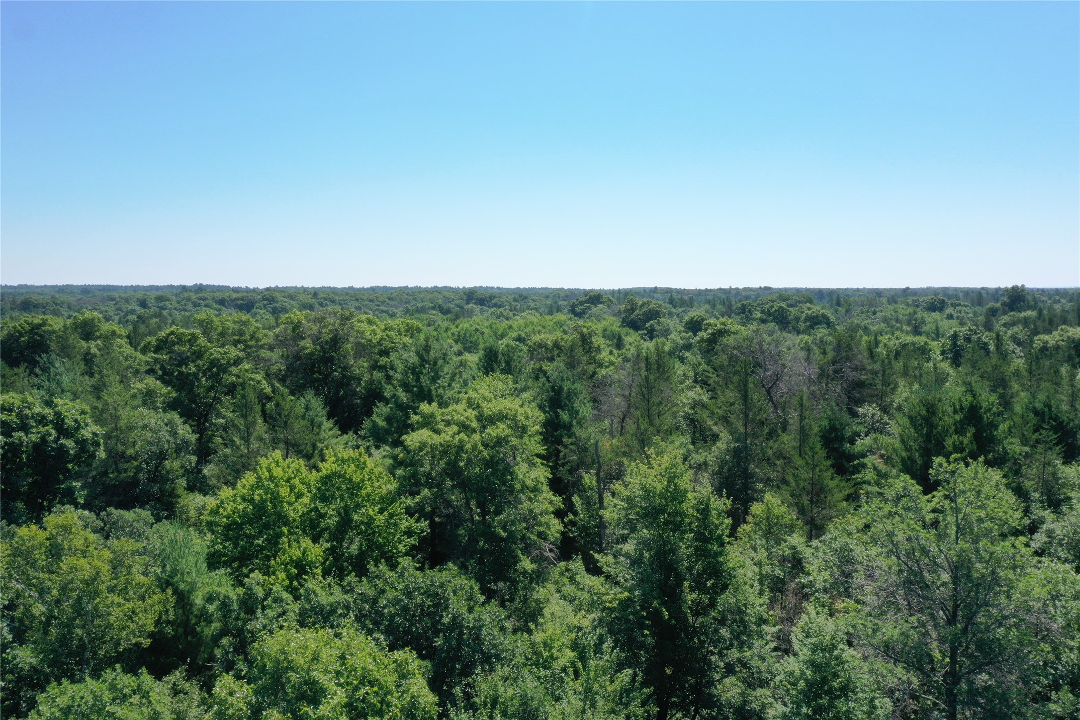 14722 Skog Road Property Photo 39