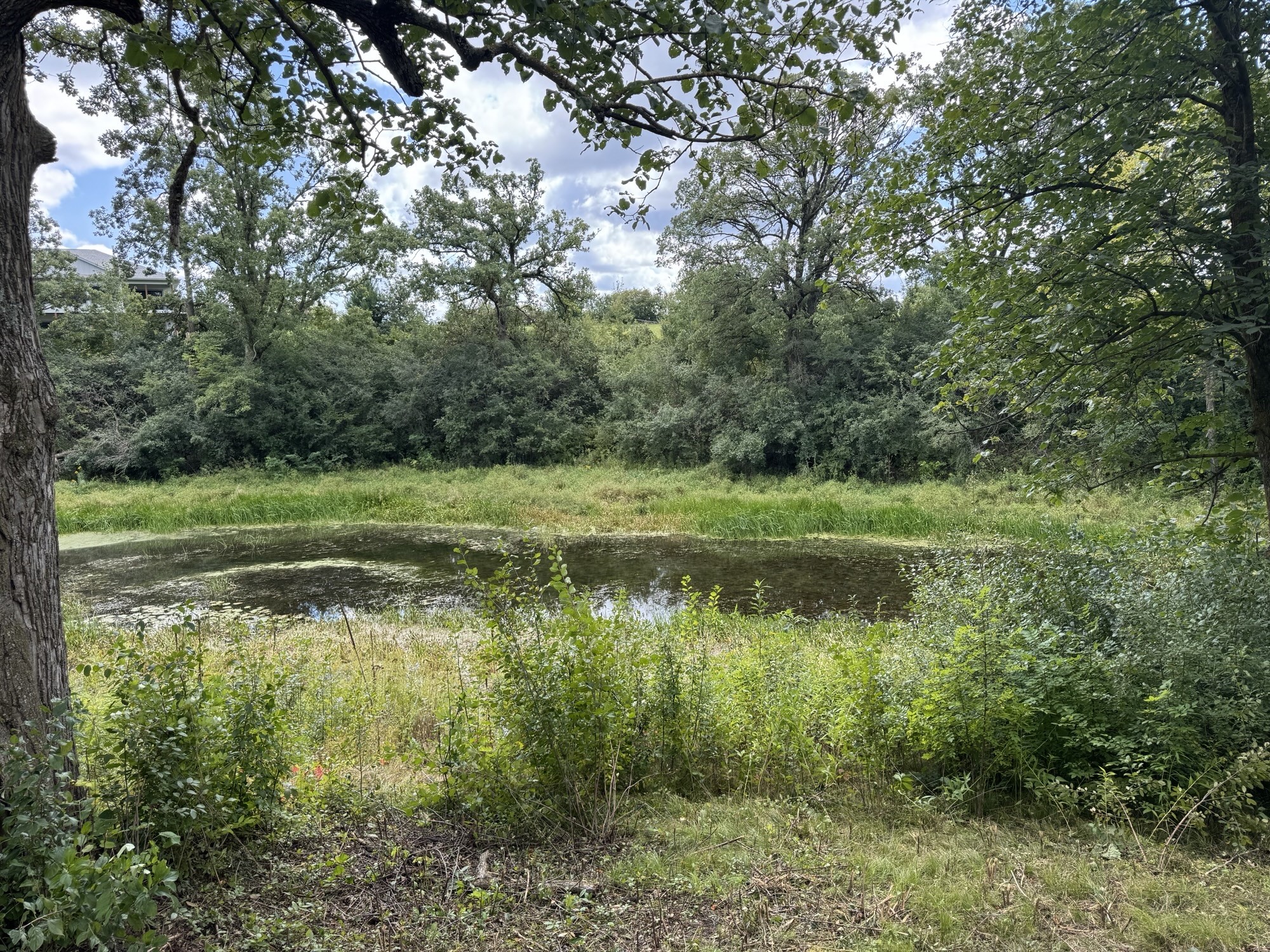 Lot 28 21st Street Property Photo 6