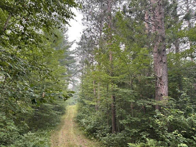 0 Kelly Lake Road Property Photo 1