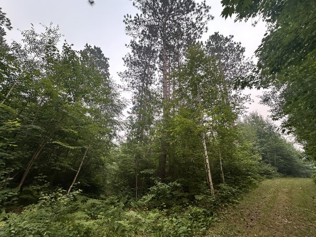 0 Kelly Lake Road Property Photo 2