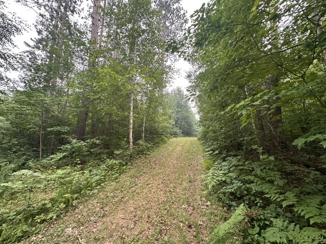 0 Kelly Lake Road Property Photo 3