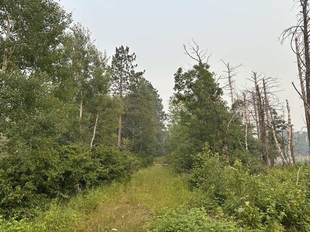0 Kelly Lake Road Property Photo 4