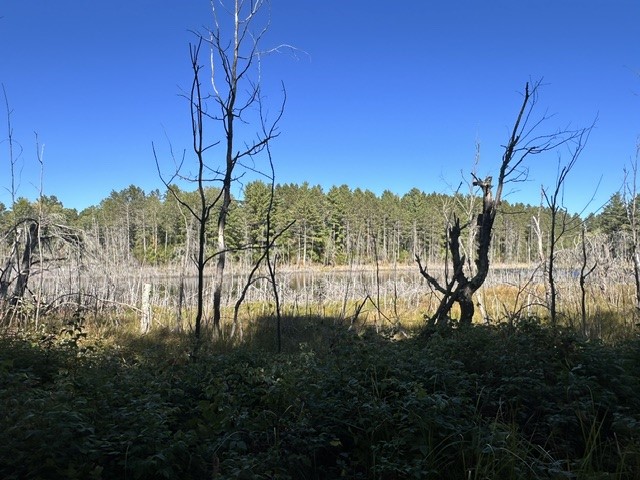 0 Kelly Lake Road Property Photo 5