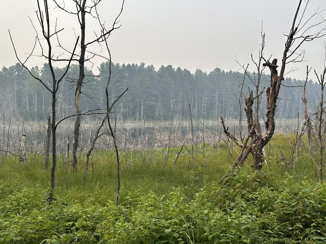 0 Kelly Lake Road Property Photo 6