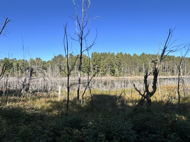 0 Kelly Lake Road Property Photo 6