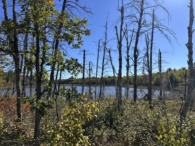 0 Kelly Lake Road Property Photo 7