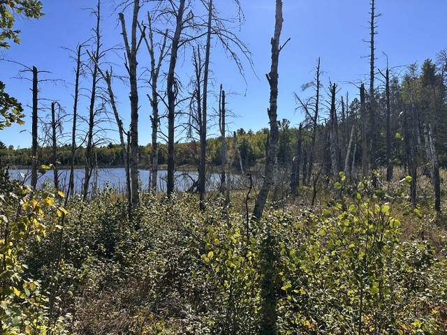 0 Kelly Lake Road Property Photo 8