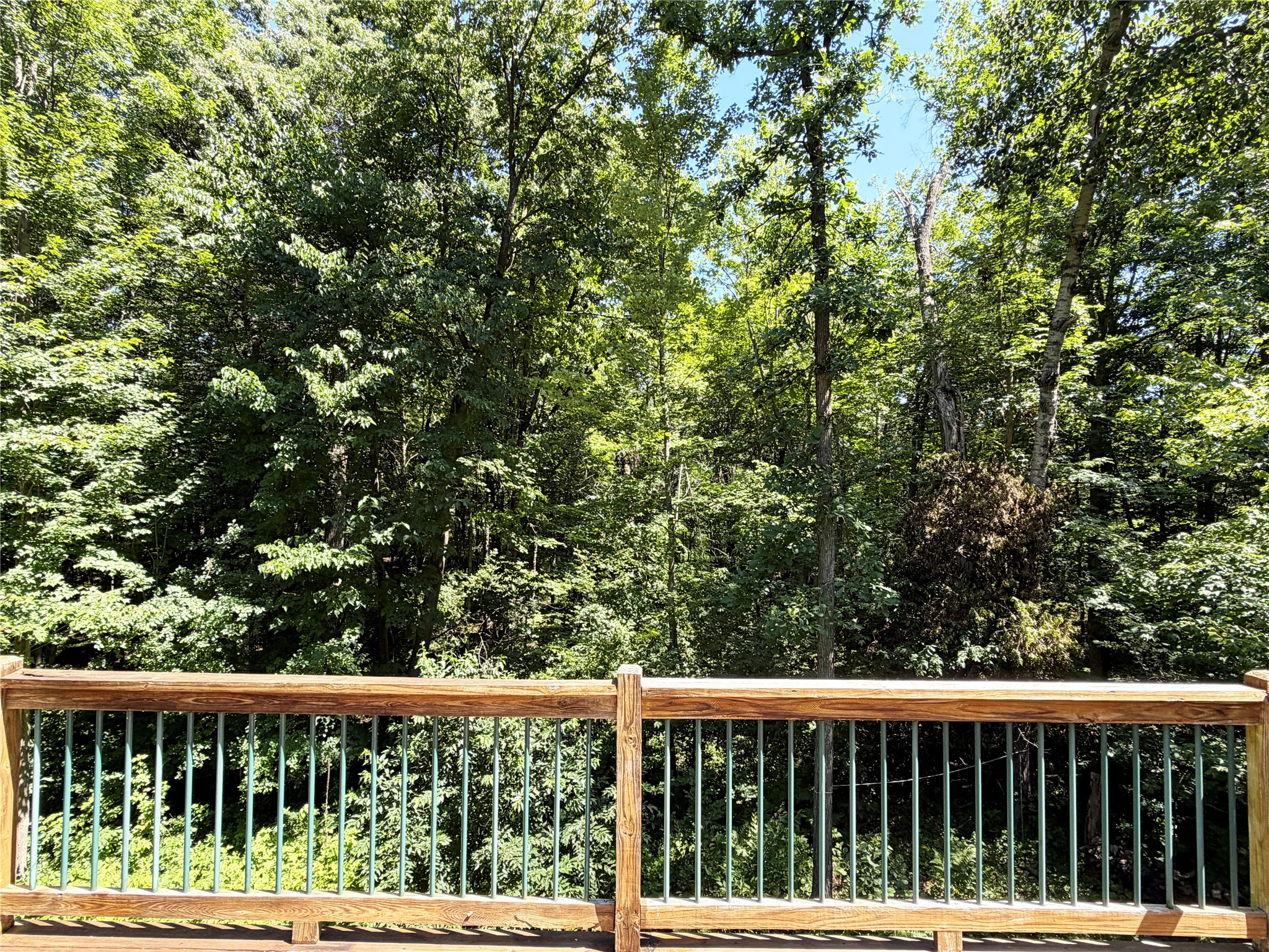2024 9 3/4 Avenue Property Photo 22