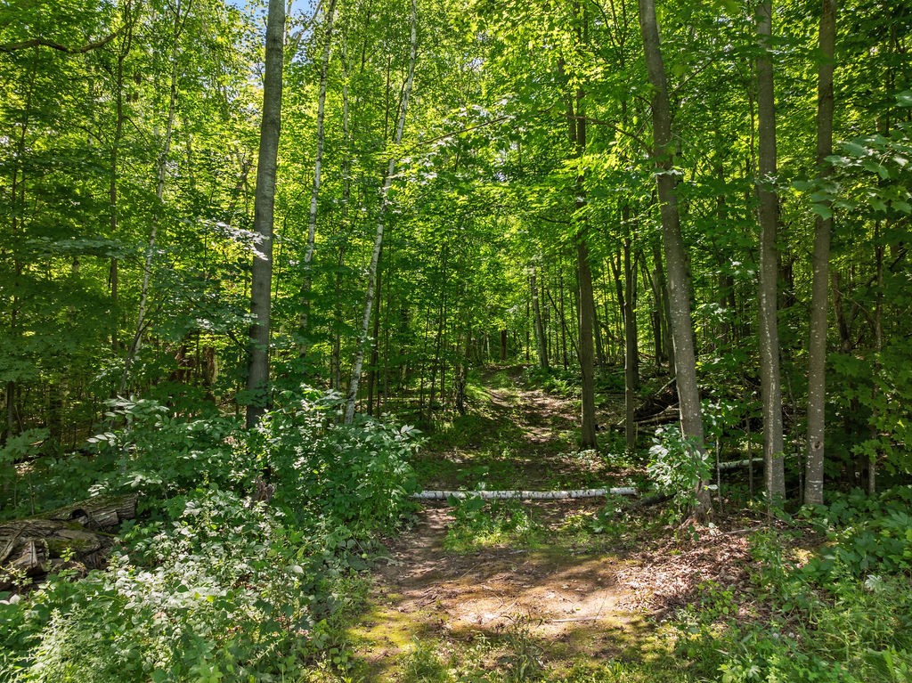 N2782 Shelton Tower Drive Property Photo 33