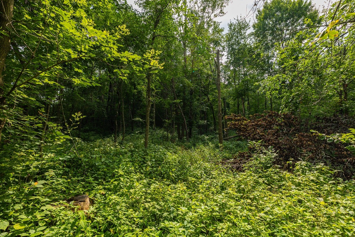 0 County Road J Property Photo 10