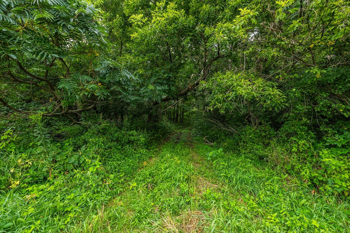 0 County Road J Property Photo 15