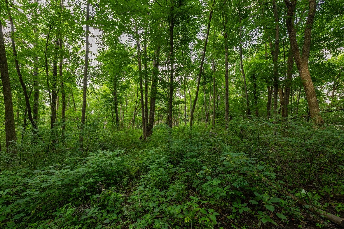 0 County Road J Property Photo 17