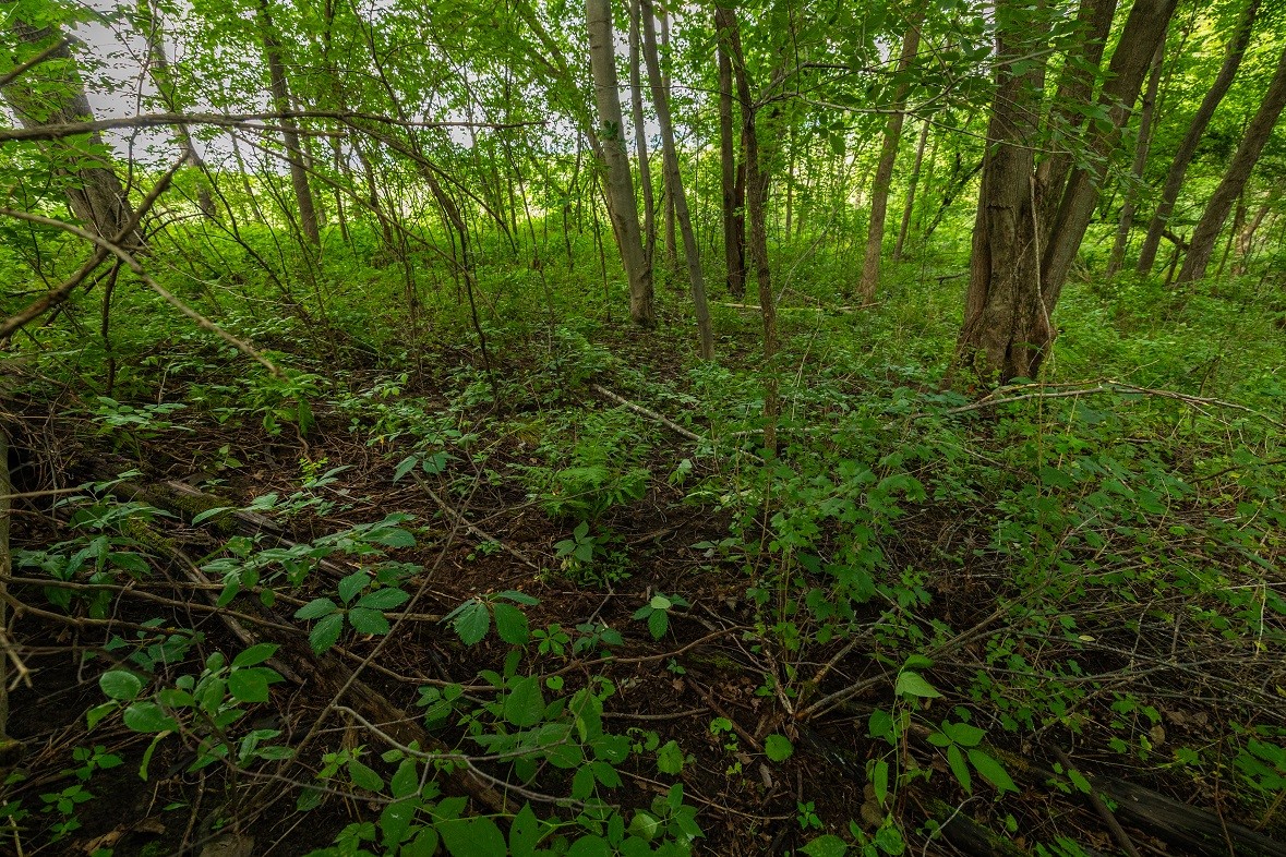 0 County Road J Property Photo 28
