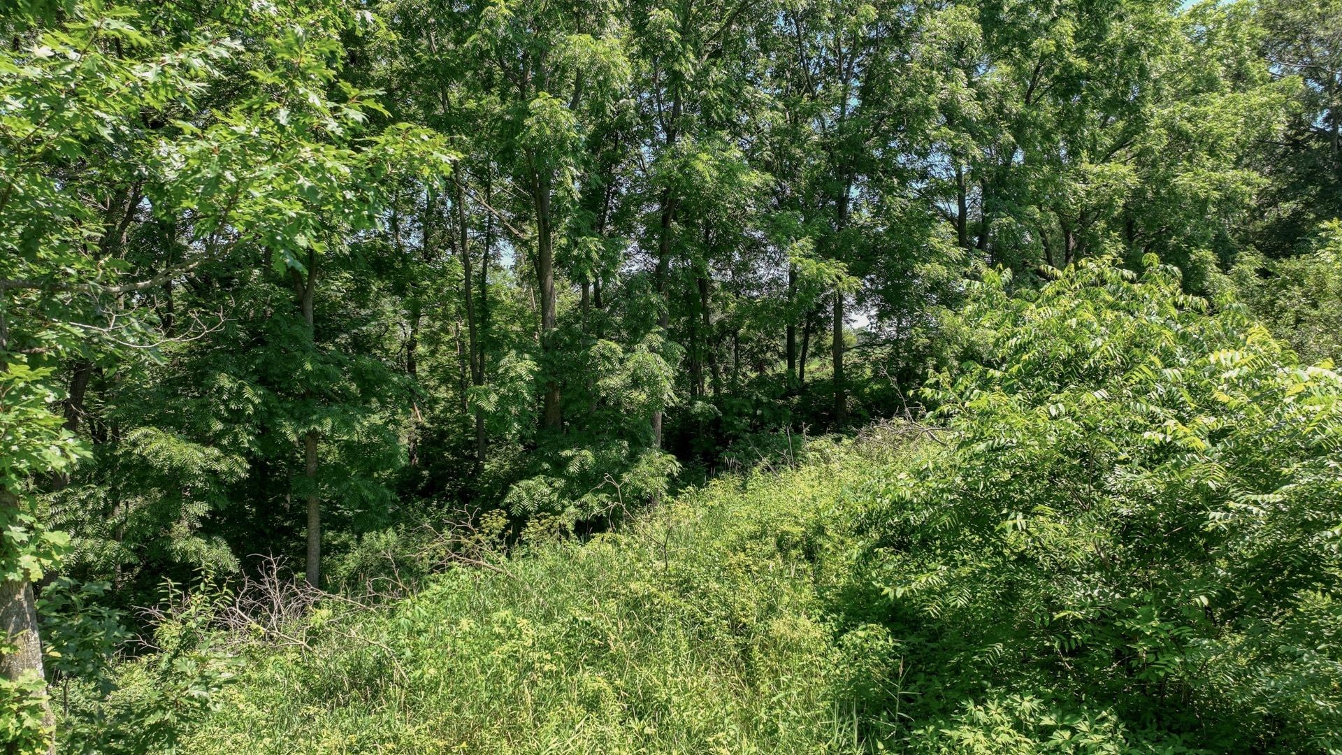 00 Garves Coulee Road Property Photo 11