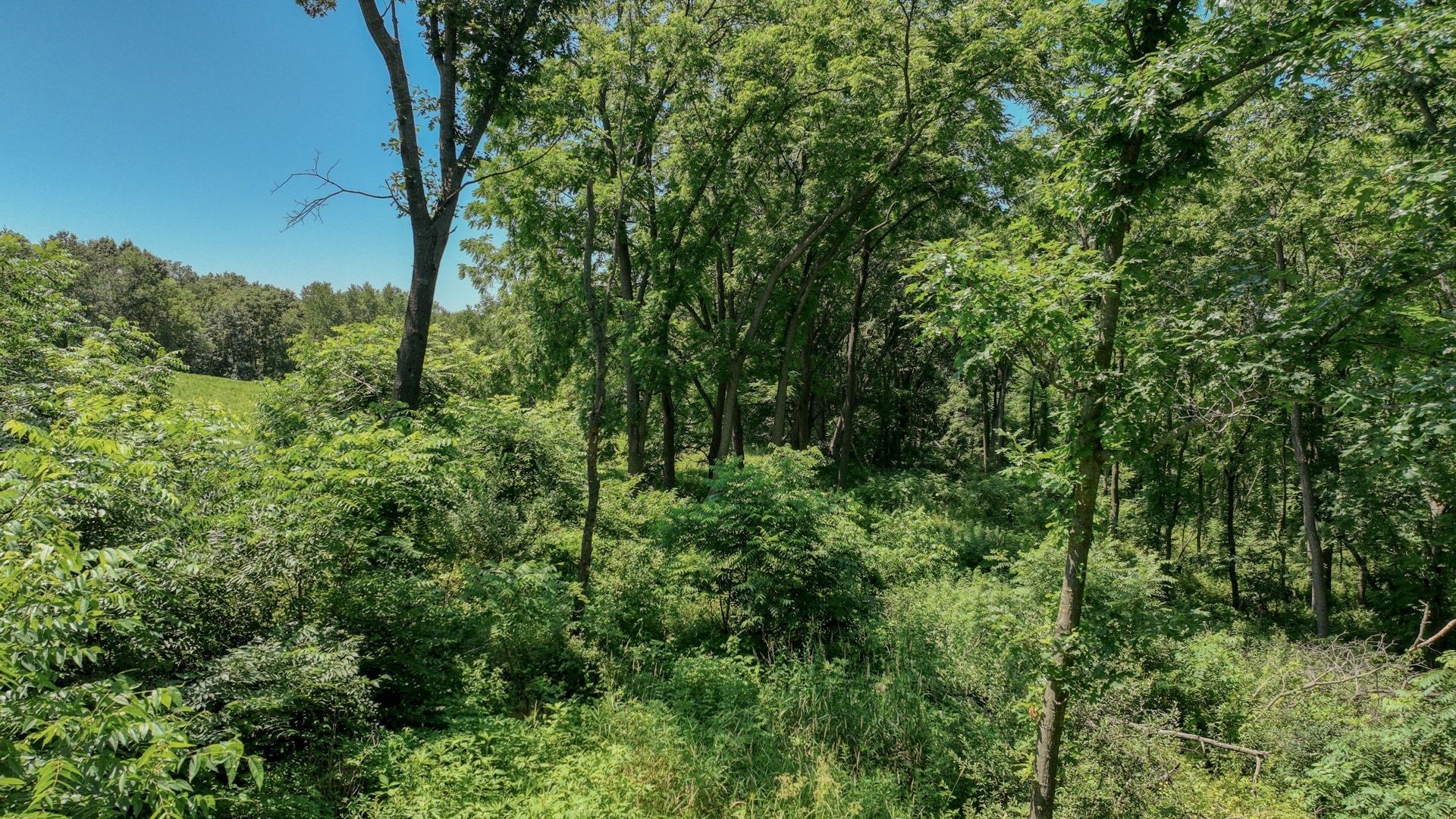 00 Garves Coulee Road Property Photo 14