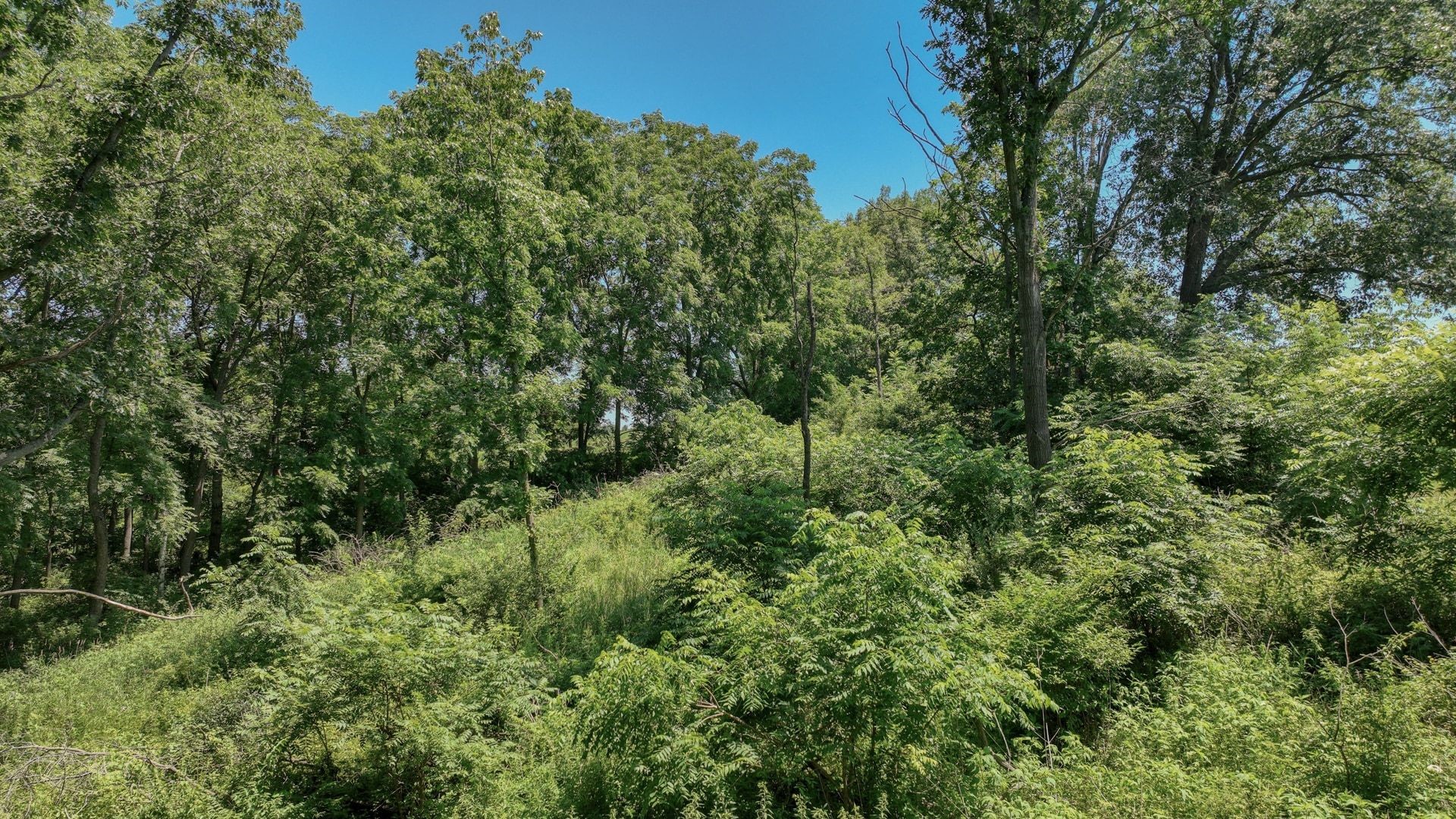00 Garves Coulee Road Property Photo 17