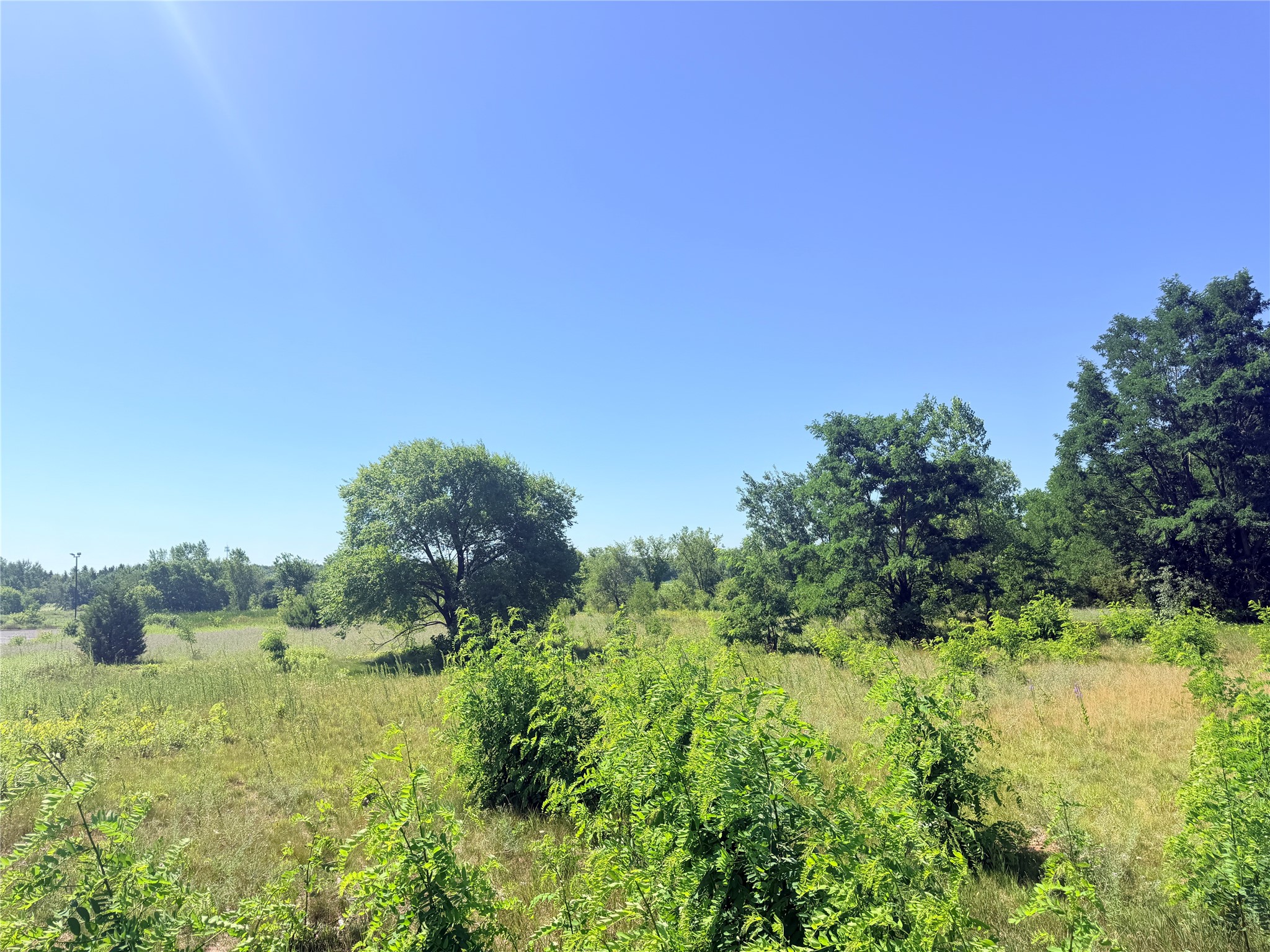 3.63 Acres Truax Lane Property Photo 3