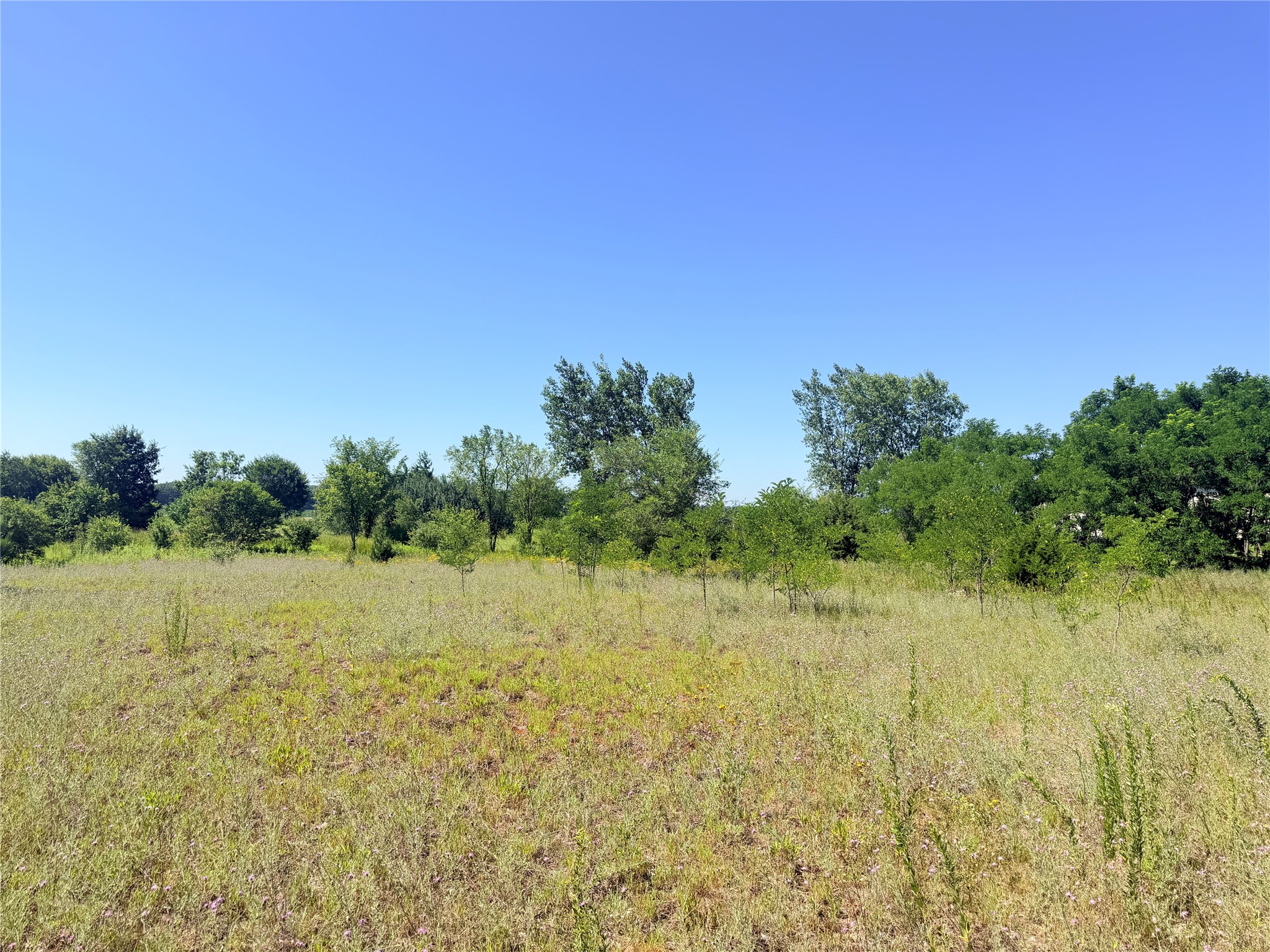 3.63 Acres Truax Lane Property Photo 10