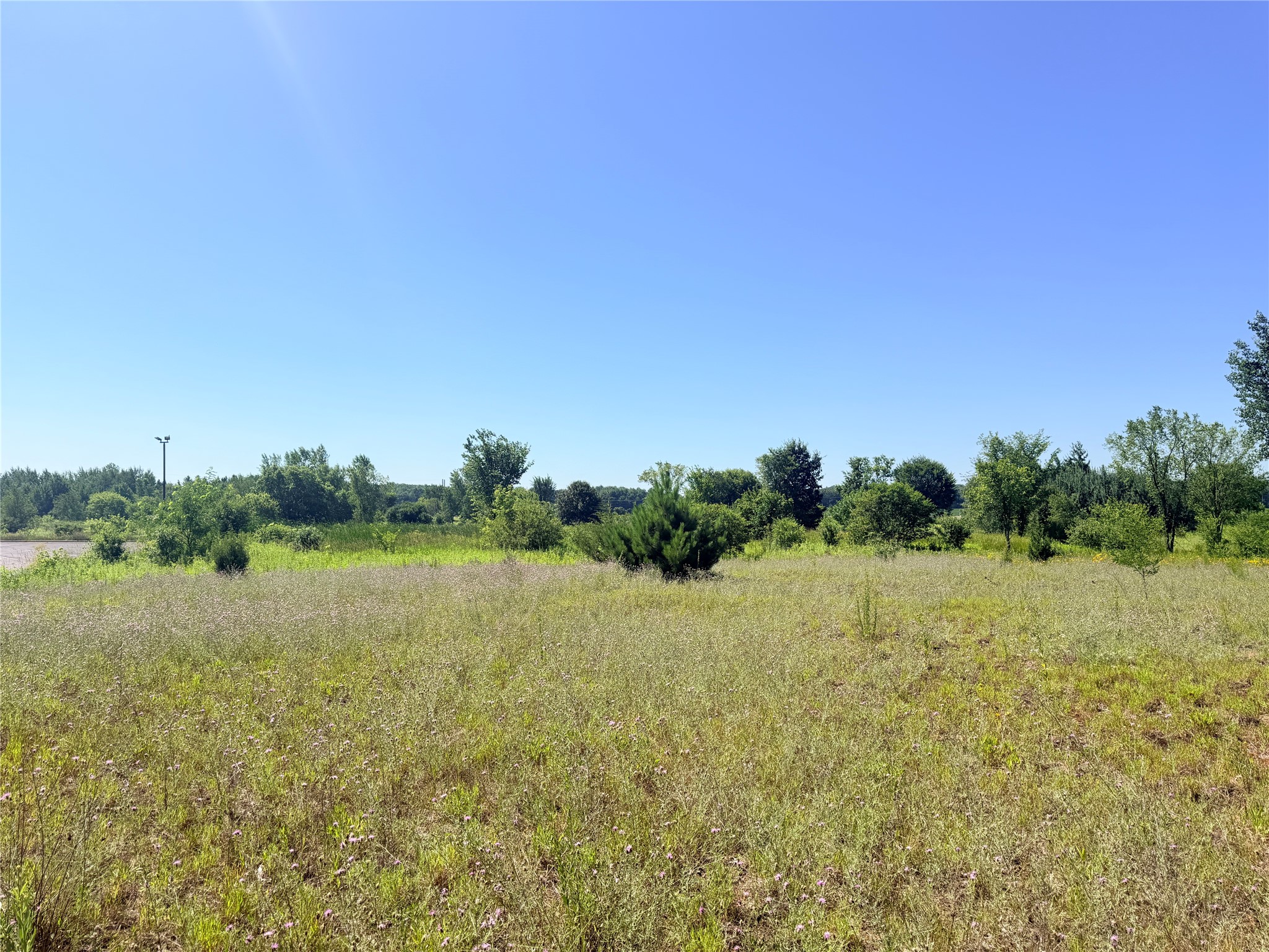 3.63 Acres Truax Lane Property Photo 11