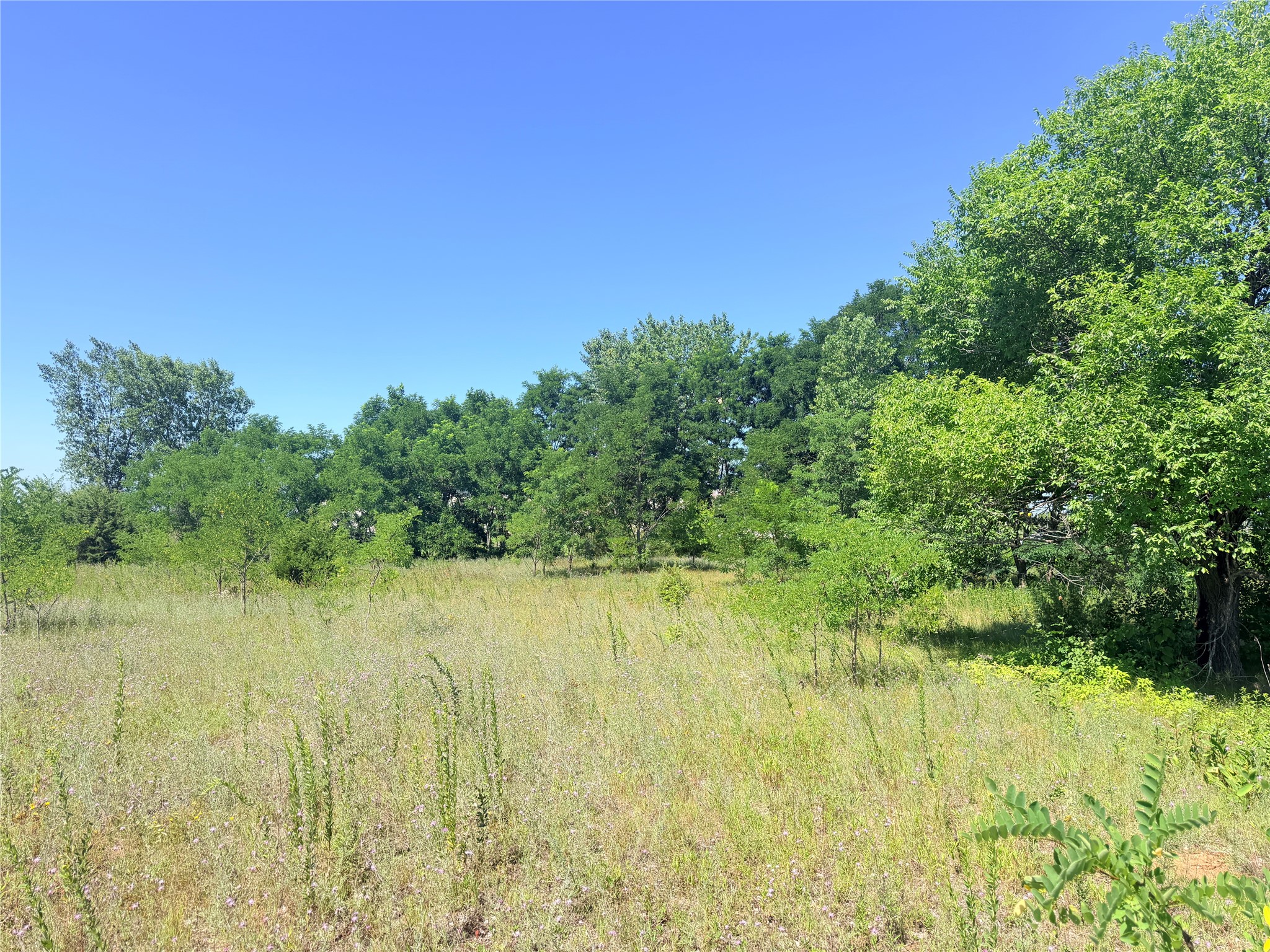 3.63 Acres Truax Lane Property Photo 13