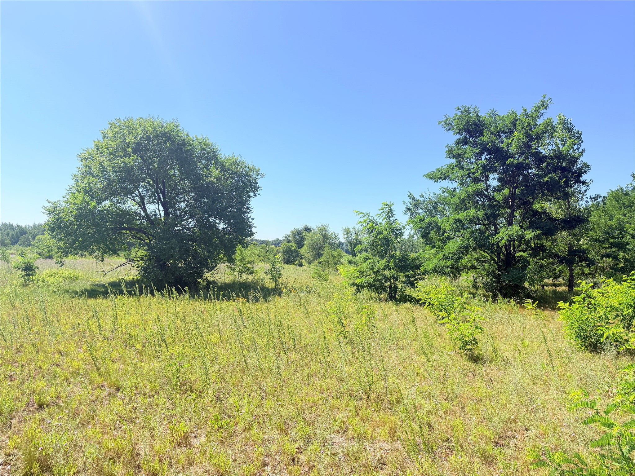 3.63 Acres Truax Lane Property Photo 14