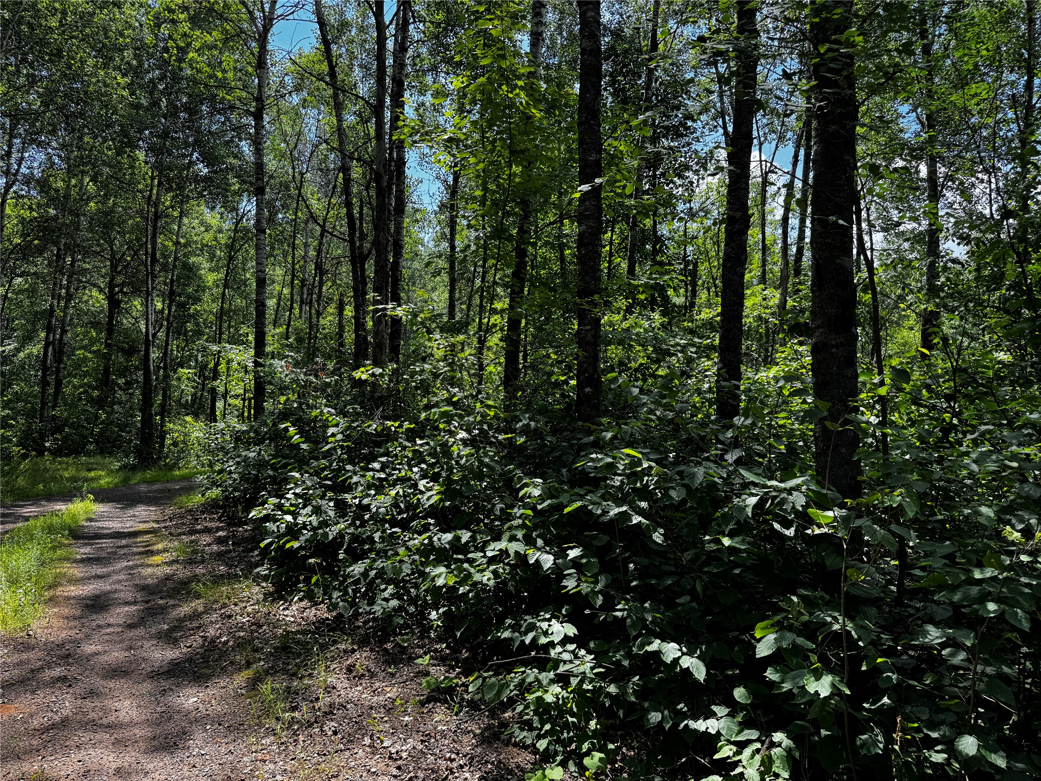 Lot 12 Cassandra Road Property Photo 1