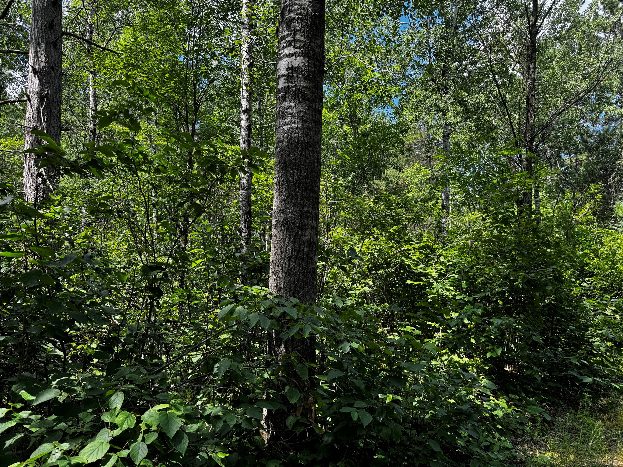 Lot 12 Cassandra Road Property Photo 5
