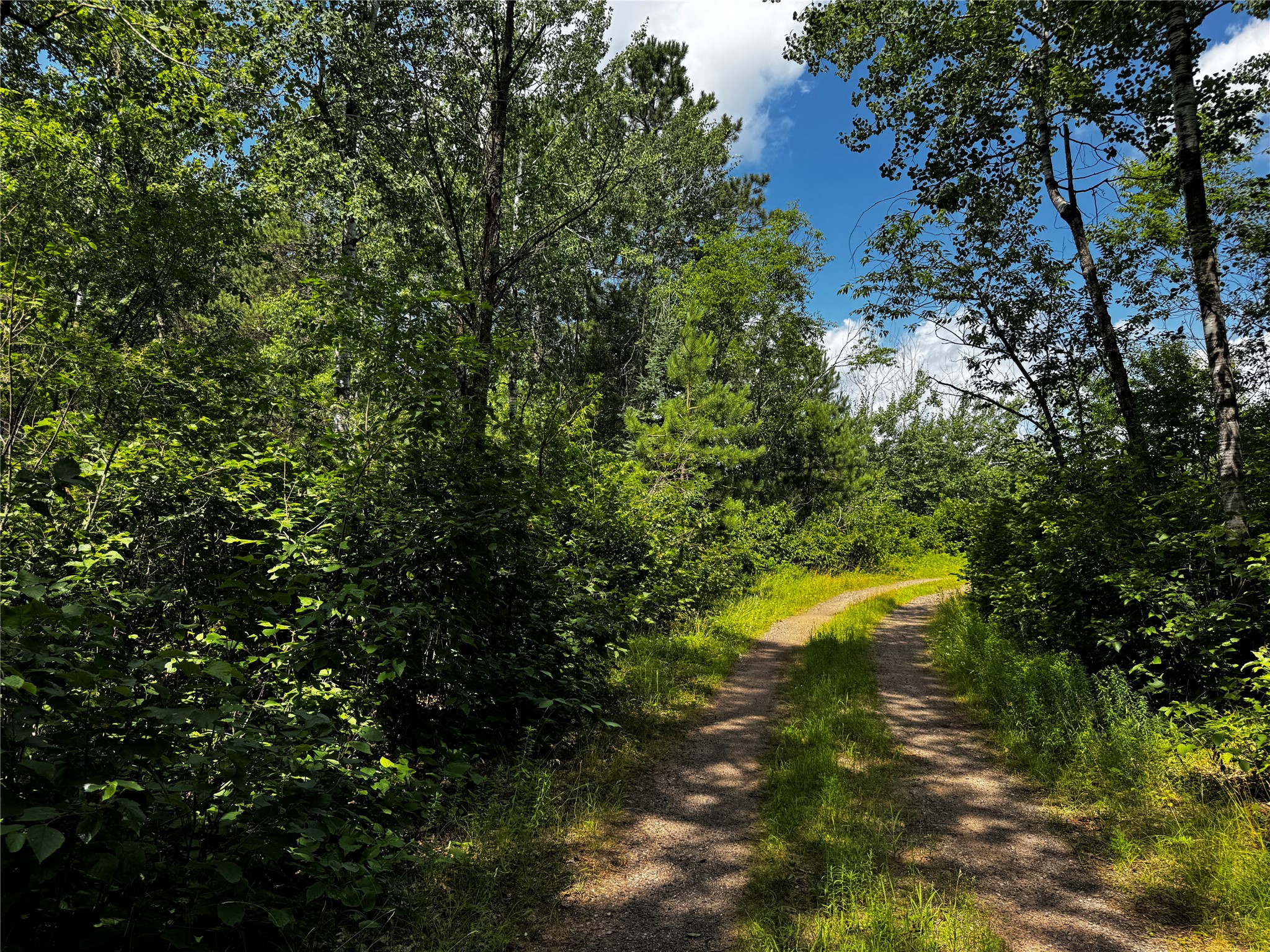 Lot 12 Cassandra Road Property Photo 6