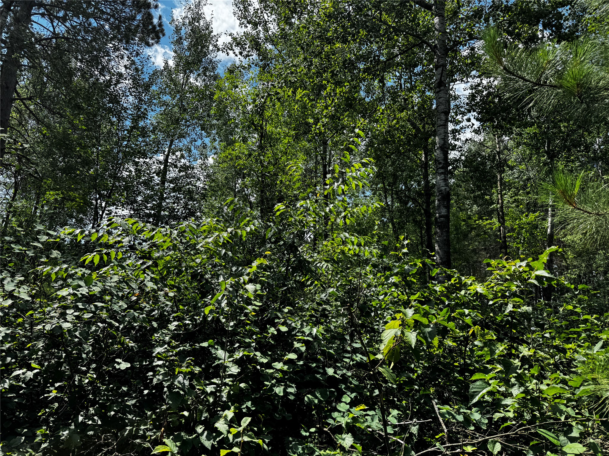 Lot 12 Cassandra Road Property Photo 7