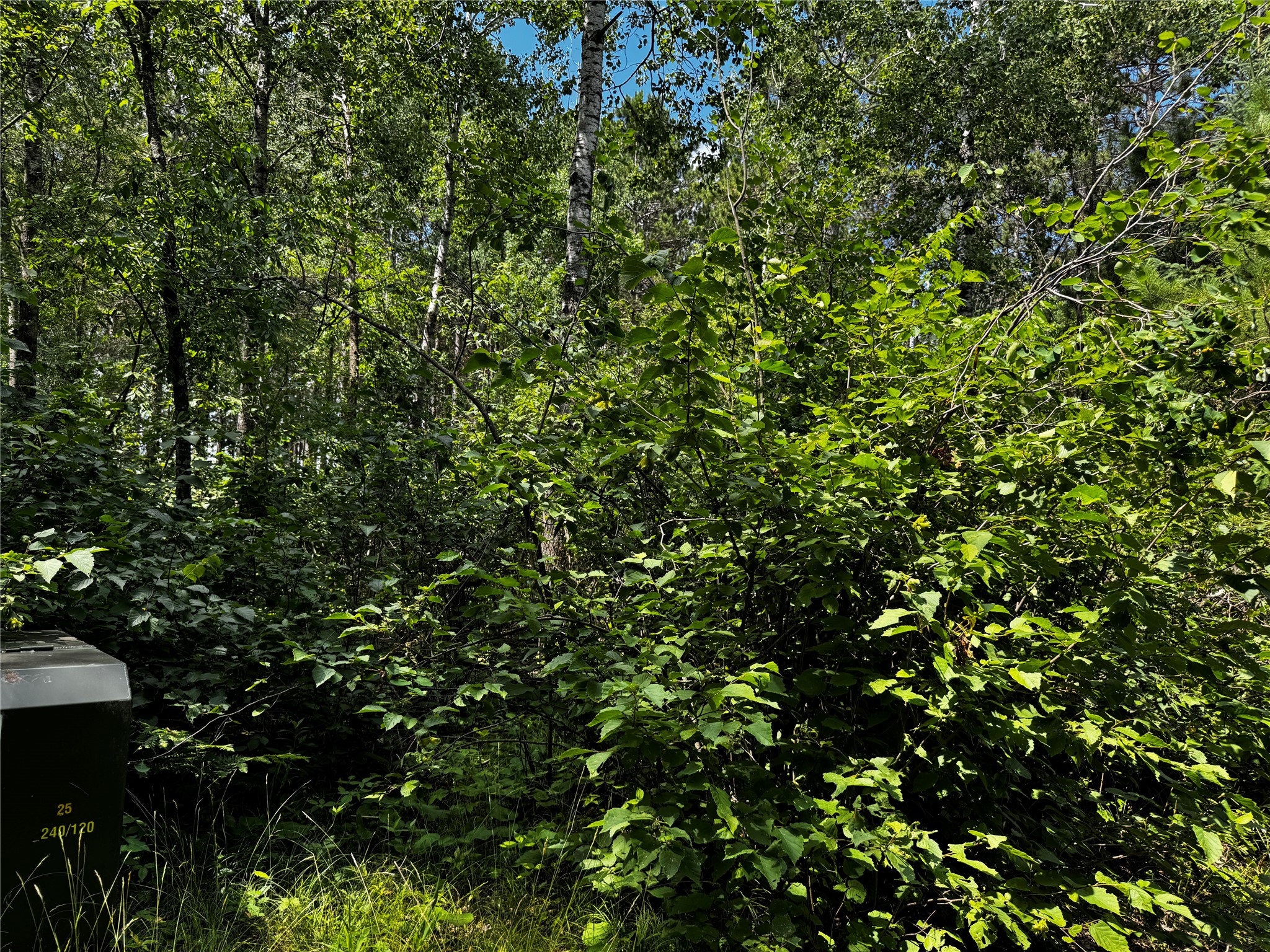 Lot 12 Cassandra Road Property Photo 9