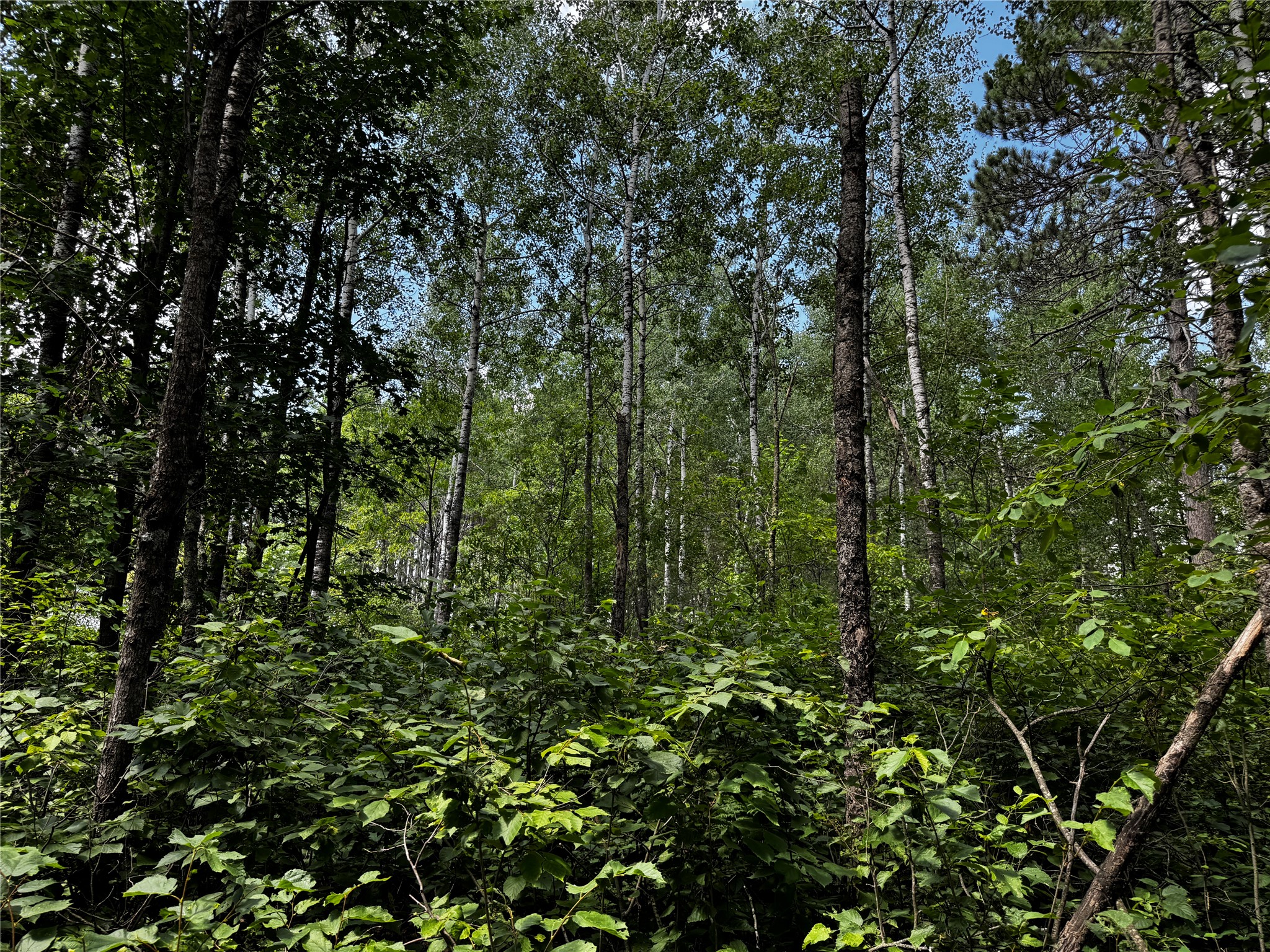 Lot 12 Cassandra Road Property Photo 10