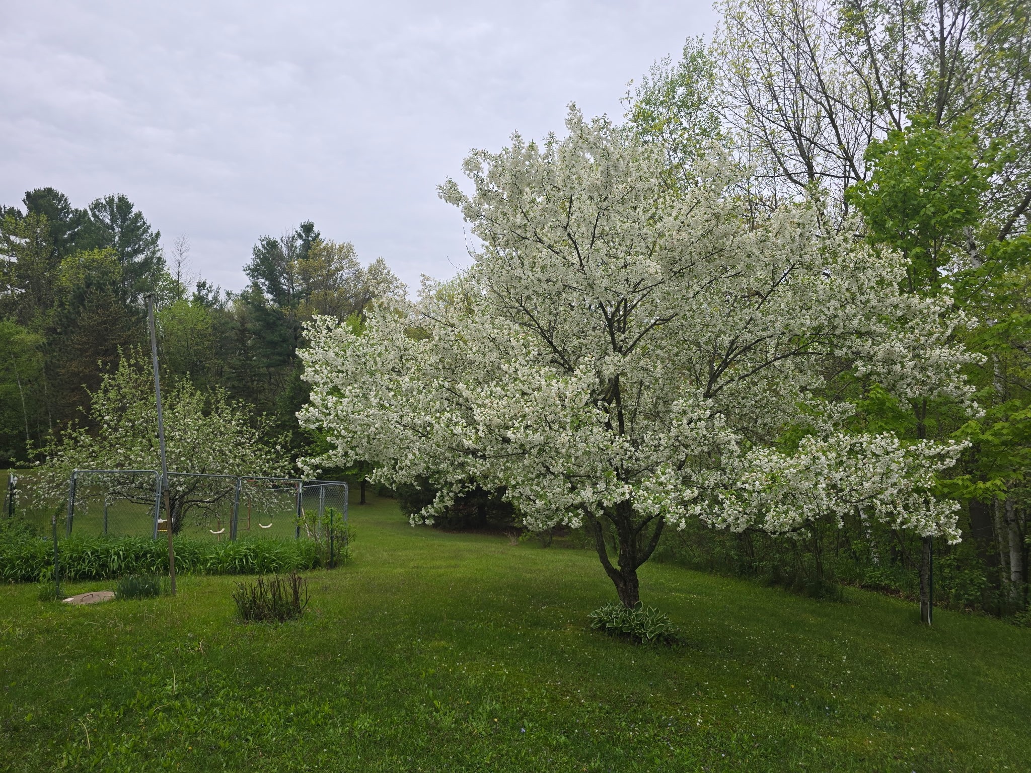 2403 50th Street Property Photo 9
