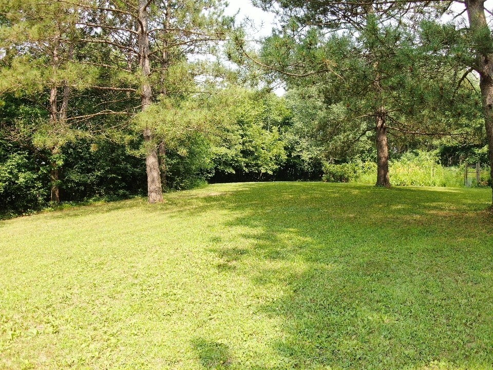 2403 50th Street Property Photo 35