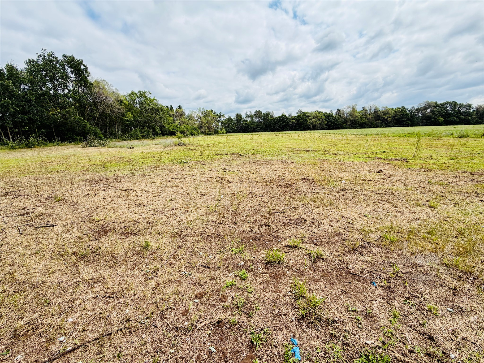 1.25 Acres 19th Avenue Property Photo 3