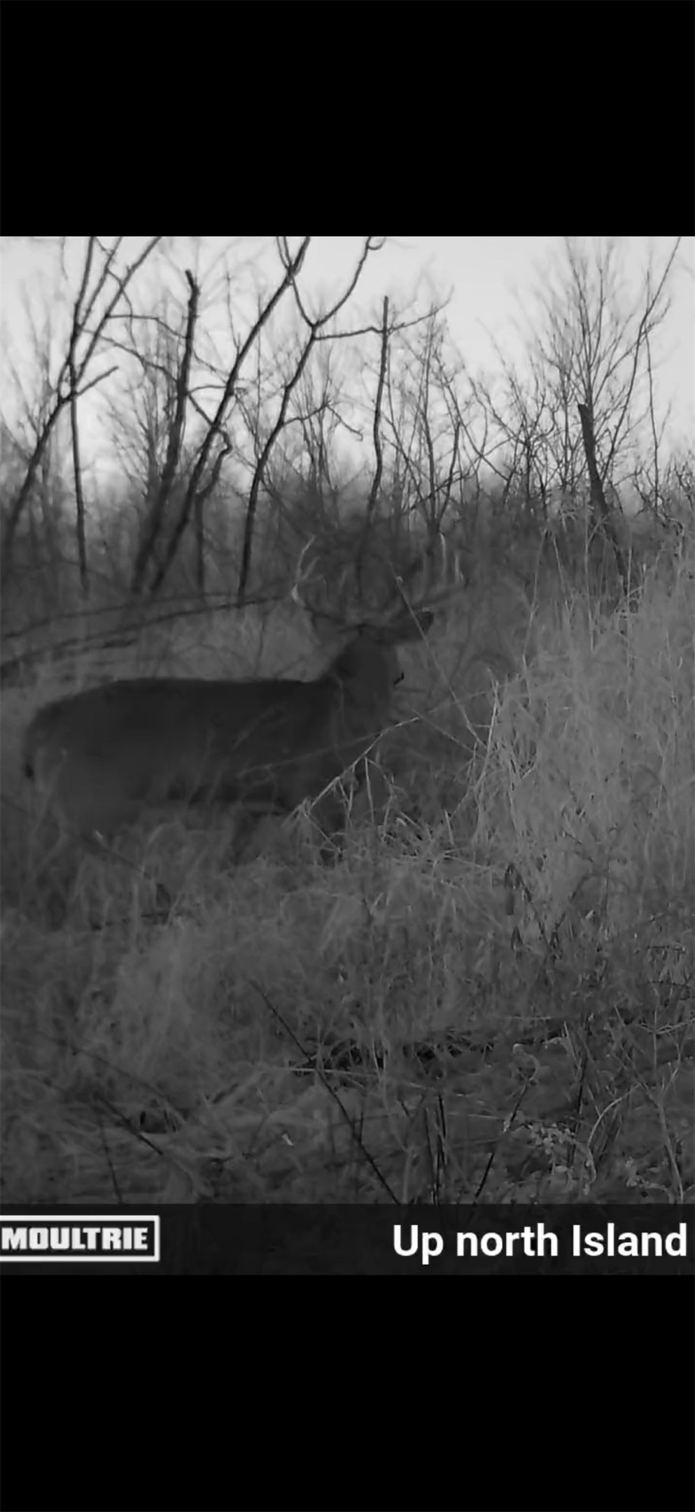 W5343 County Road X Property Photo 9