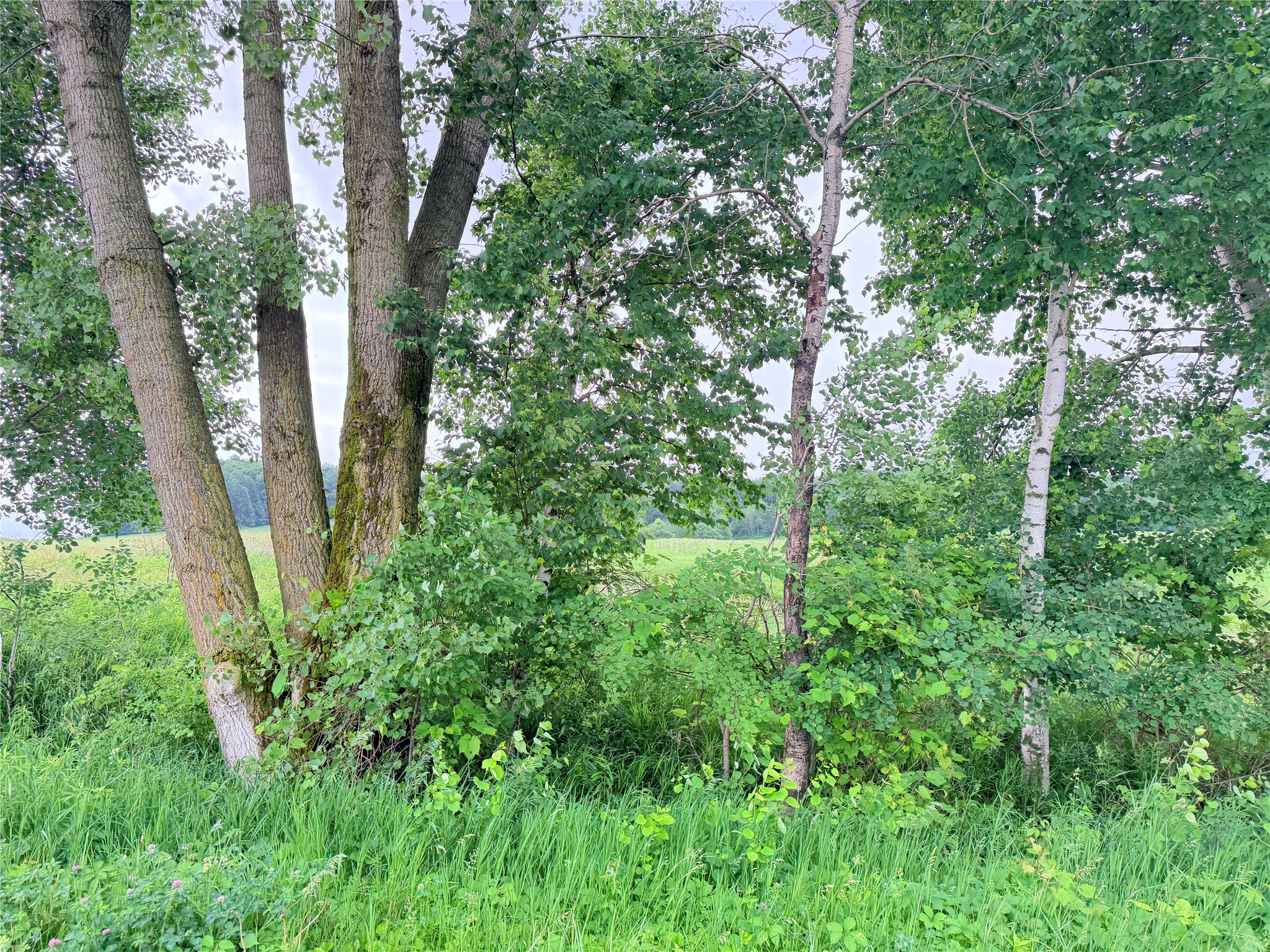 0 Grandview Drive Property Photo 9