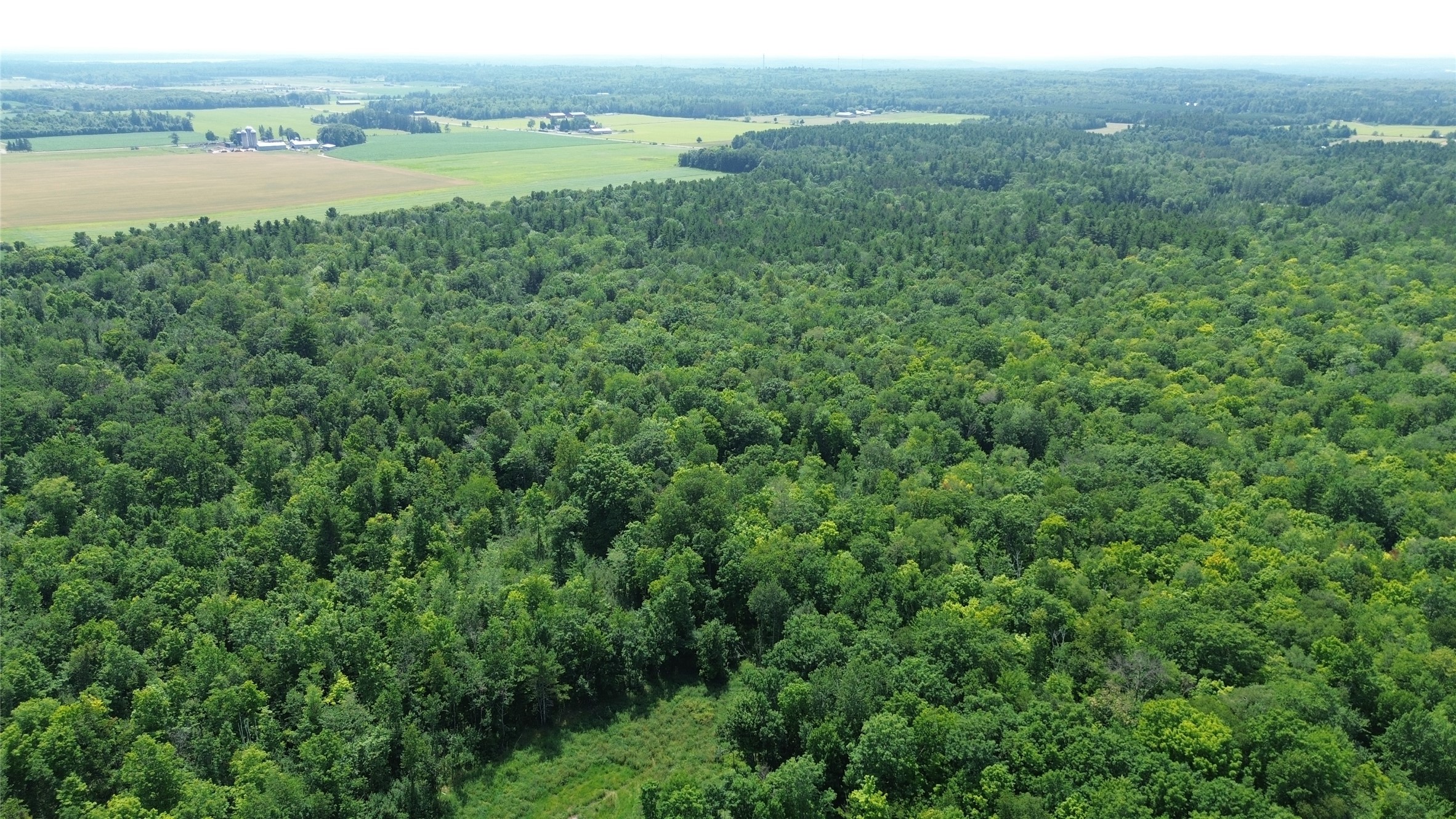 13743w State Highway 77 Property Photo 4
